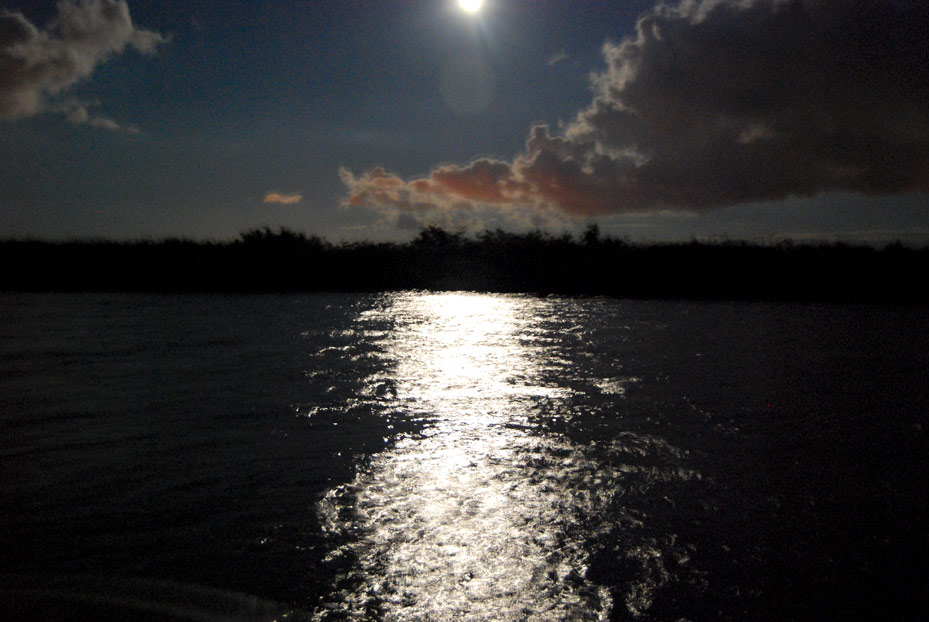 Midnight moonlight on the water